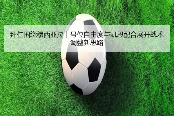 img_1781901694036_684_1_309.jpg