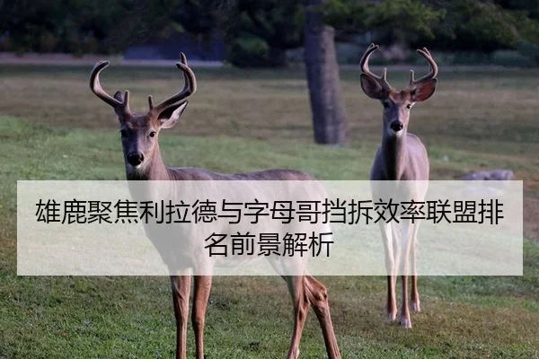 雄鹿聚焦利拉德与字母哥挡拆效率联盟排名前景解析